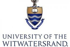 University Of Witwatersrand Website