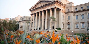 Wits University Courses And Programs