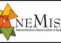 NEMISA Internships 2020 / 2021: Details + Requirements
