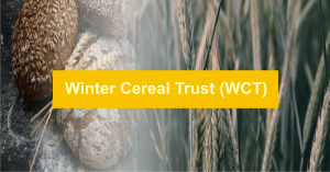 Winter Cereal Trust (WCT): Bursaries 2021