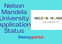 Check Nelson Mandela University Application Status 2023