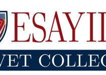 Esayidi TVET College Courses