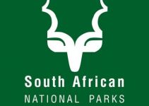 South African National Parks (SANParks) Internship Programme 2021