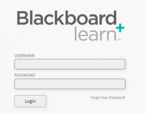 SMU Blackboard Login Portal