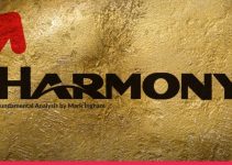 Students Work Integrated Opportunity At Harmony Gold
