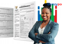 How to Fill out Z83 Form Online