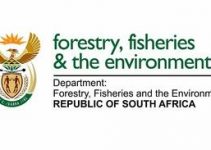 HR Internships At Department of Forestry, Fisheries and Environment