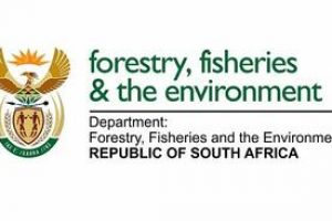 HR Internships At Department of Forestry, Fisheries and Environment